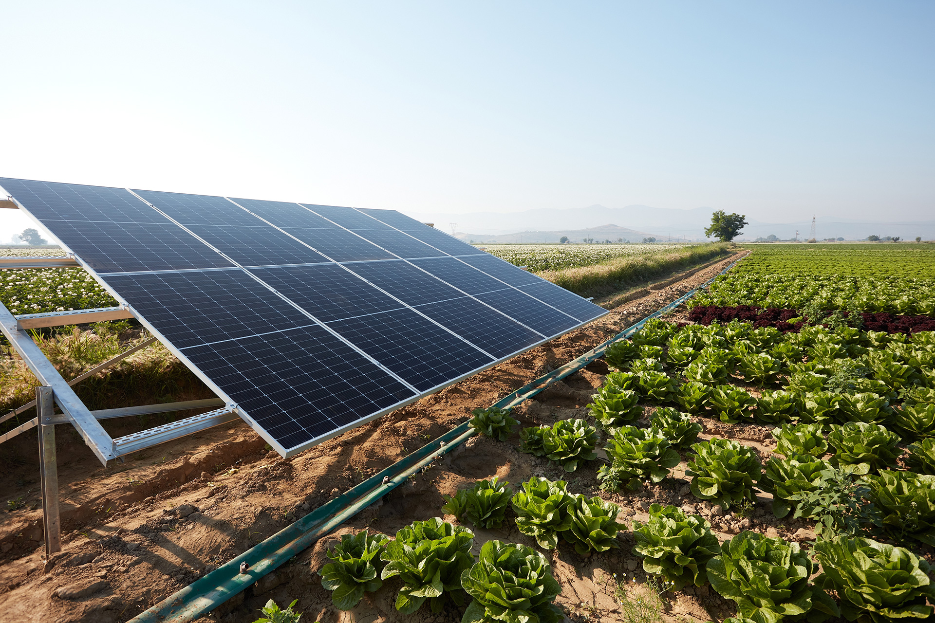 Impianti fotovoltaici conto terzi e clienti vari settori industriali e agricoli.